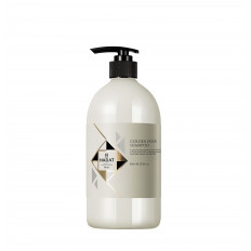 HADAT Шампунь для волос Golden Hour Shampoo