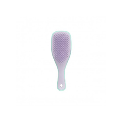Расческа TANGLE TEEZER The Wet Detangler Mini Wisteria Leaf